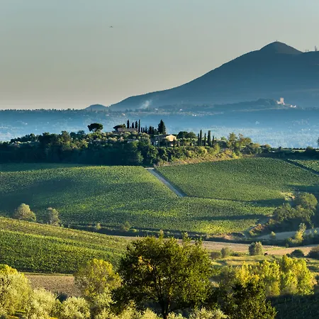 La Casa Delle Querce * Acquaviva (Montepulciano)