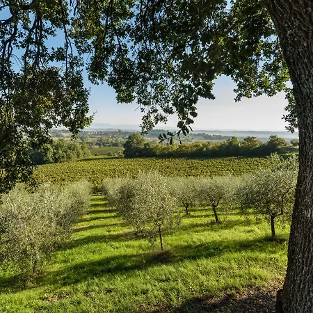 La Casa Delle Querce * Acquaviva (Montepulciano)