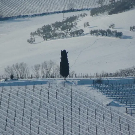 Apartman La Casa Delle Querce