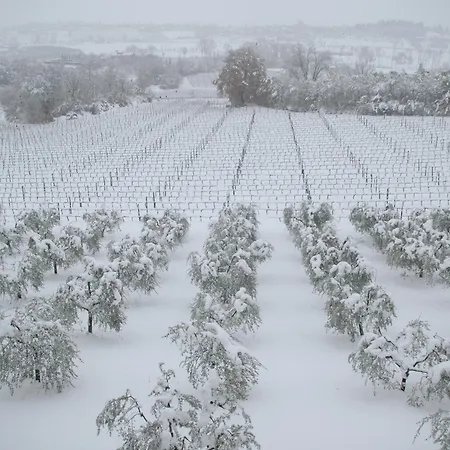 Apartman La Casa Delle Querce *